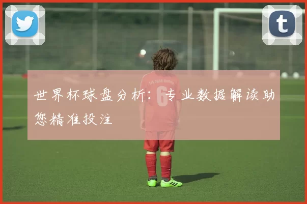 世界杯球盘分析:专业数据解读助您精准投注