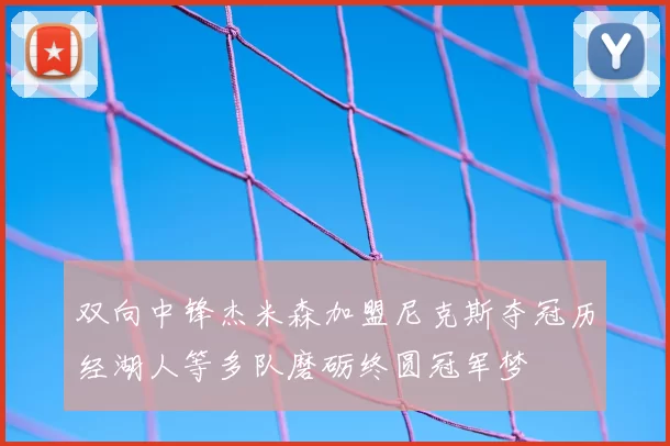 双向中锋杰米森加盟尼克斯夺冠历经湖人等多队磨砺终圆冠军梦