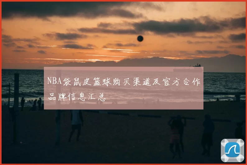 NBA袋鼠皮篮球购买渠道及官方合作品牌信息汇总