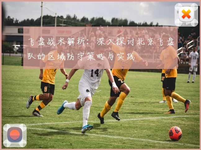 飞盘战术解析：深入探讨北京飞盘队的区域防守策略与实践