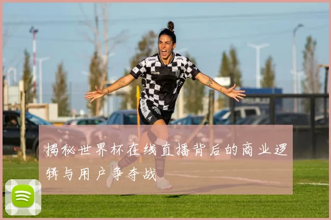 揭秘世界杯在线直播背后的商业逻辑与用户争夺战