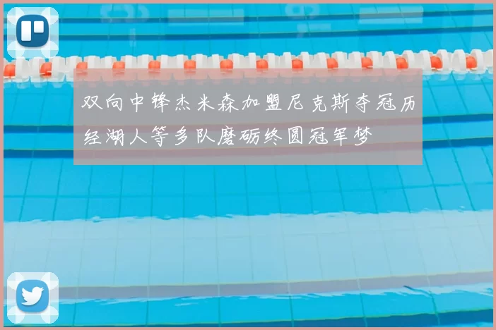 双向中锋杰米森加盟尼克斯夺冠历经湖人等多队磨砺终圆冠军梦