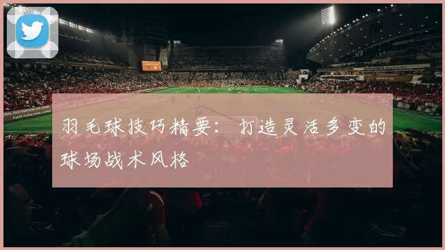 羽毛球技巧精要：打造灵活多变的球场战术风格