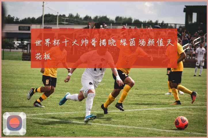 世界杯十大帅哥揭晓 绿茵场颜值天花板