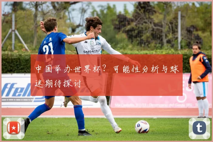 中国举办世界杯?可能性分析与球迷期待探讨