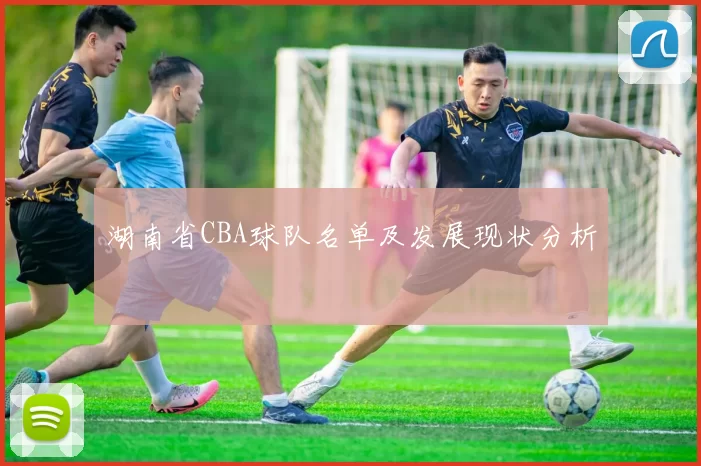 湖南省CBA球队名单及发展现状分析