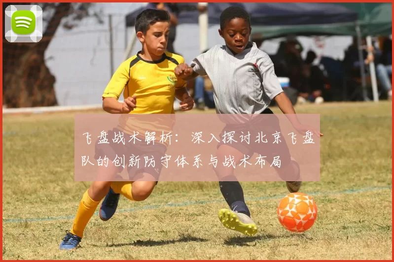 飞盘战术解析：深入探讨北京飞盘队的创新防守体系与战术布局