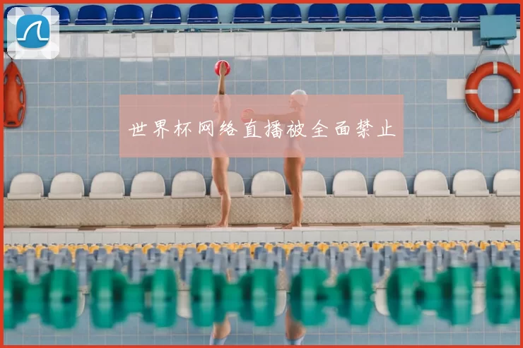 世界杯网络直播被全面禁止