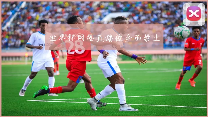 世界杯网络直播被全面禁止